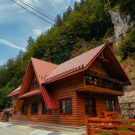 Casa Cheile Dâmbovicioarei - Cabana 2 Dîmbovicioara Extérieur photo