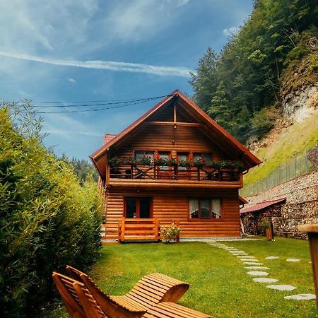 Casa Cheile Dâmbovicioarei - Cabana 2 Dîmbovicioara Extérieur photo