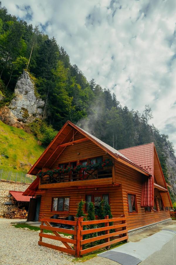 Casa Cheile Dâmbovicioarei - Cabana 2 Dîmbovicioara Extérieur photo