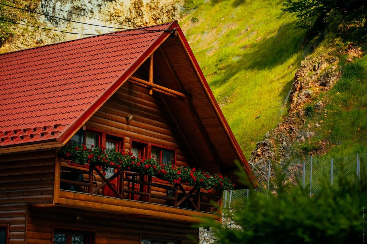 Casa Cheile Dâmbovicioarei - Cabana 2 Dîmbovicioara Extérieur photo