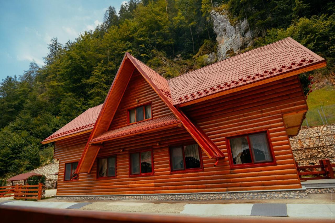 Casa Cheile Dâmbovicioarei - Cabana 2 Dîmbovicioara Extérieur photo